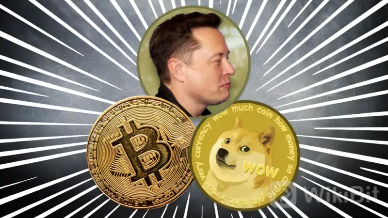 elon-musk-bitcoin-dogecoin-800x450.jpg